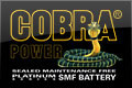 Cobra Batteries